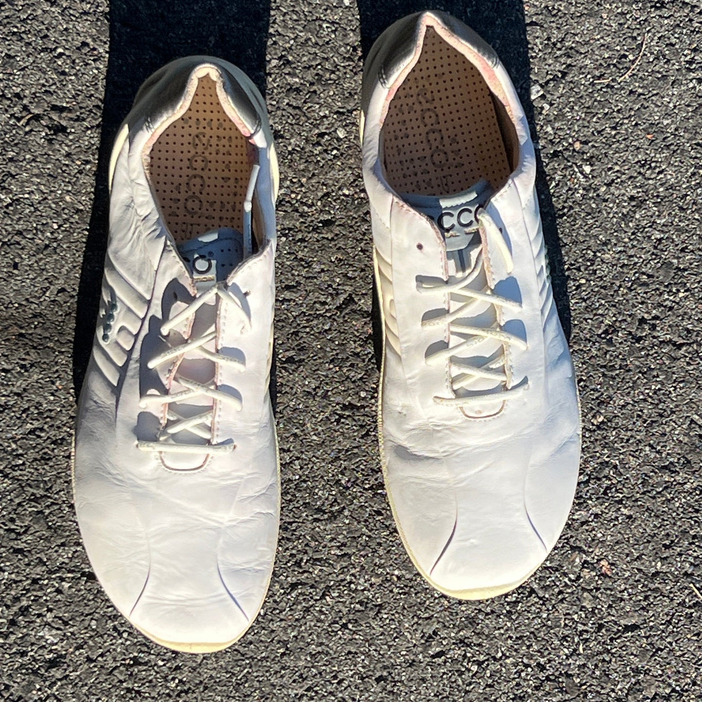 Men’s Ecco Biom Natural Motion Spikeless Golf Shoes 45EU -White/Blue- Hydromax Leather